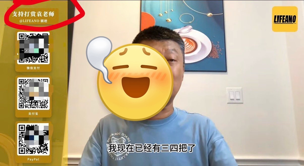 袁某人在国外上网，挂了三个国内的二维码收钱。 ​​​
