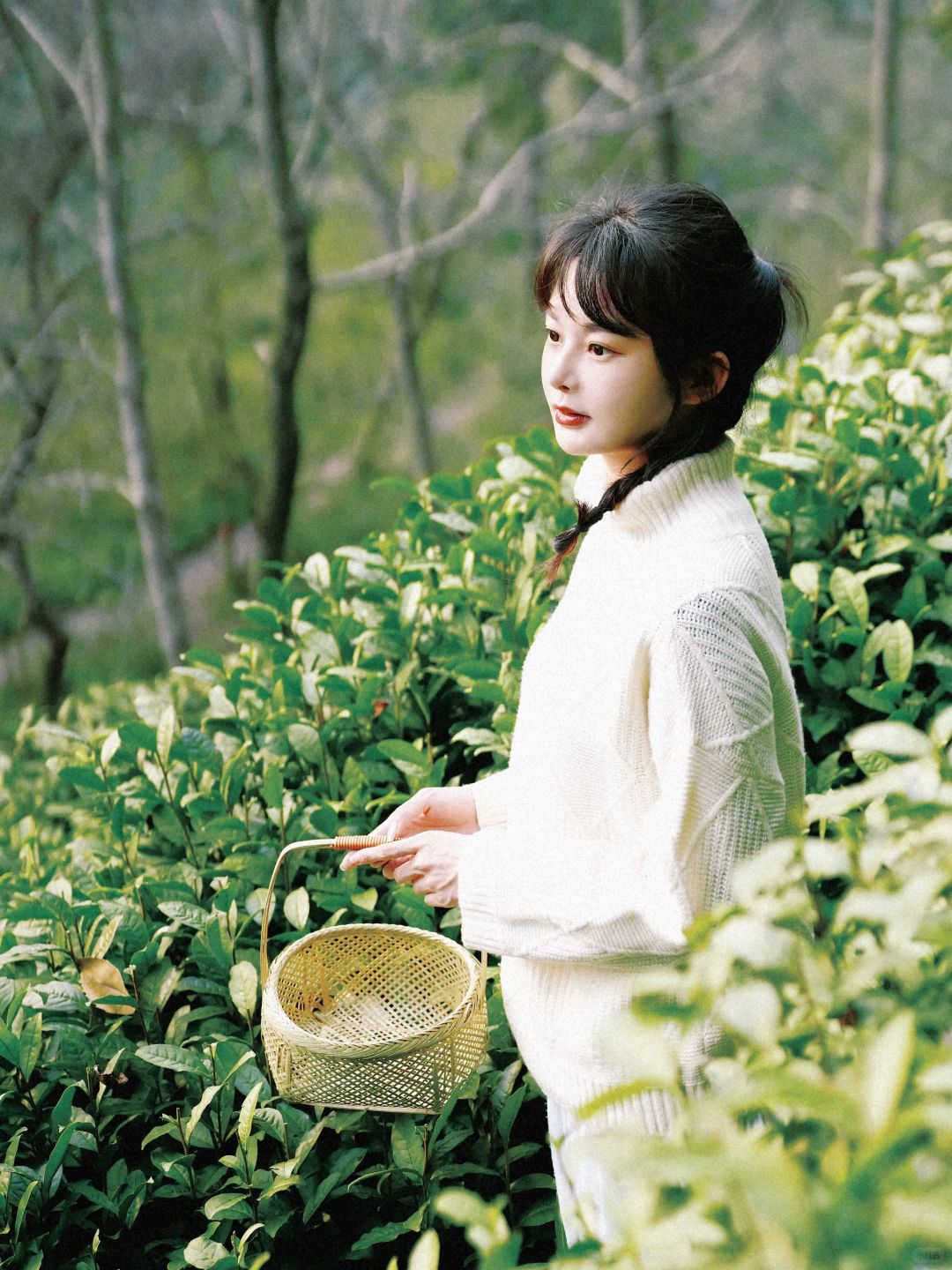 顺时食补，在山野中寻老祖宗的养生灵光