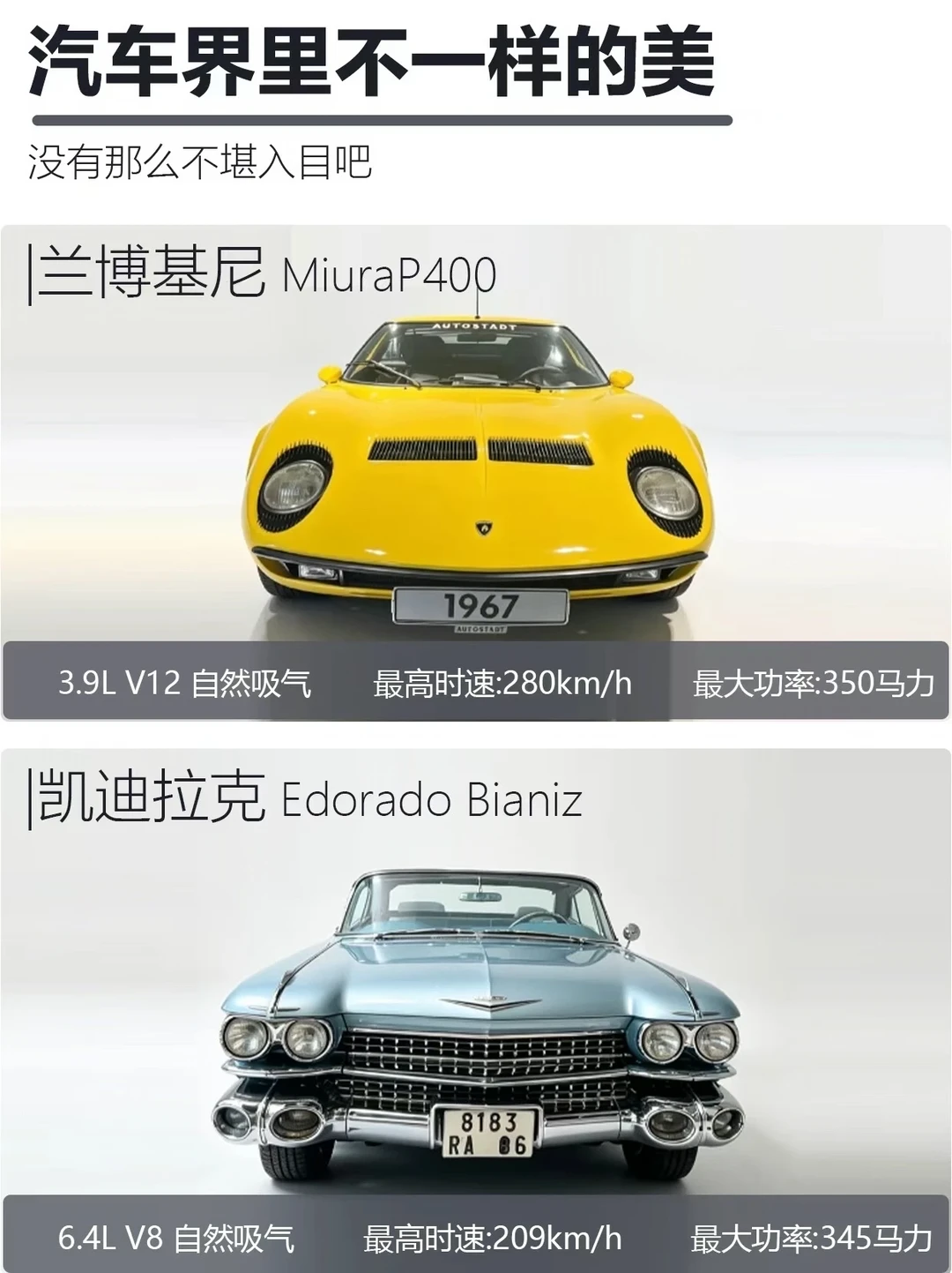 汽车界里不一样的美