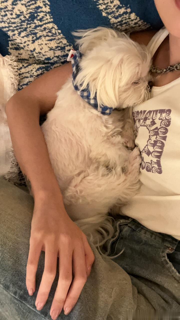 我生的 不开玩笑 ​​​