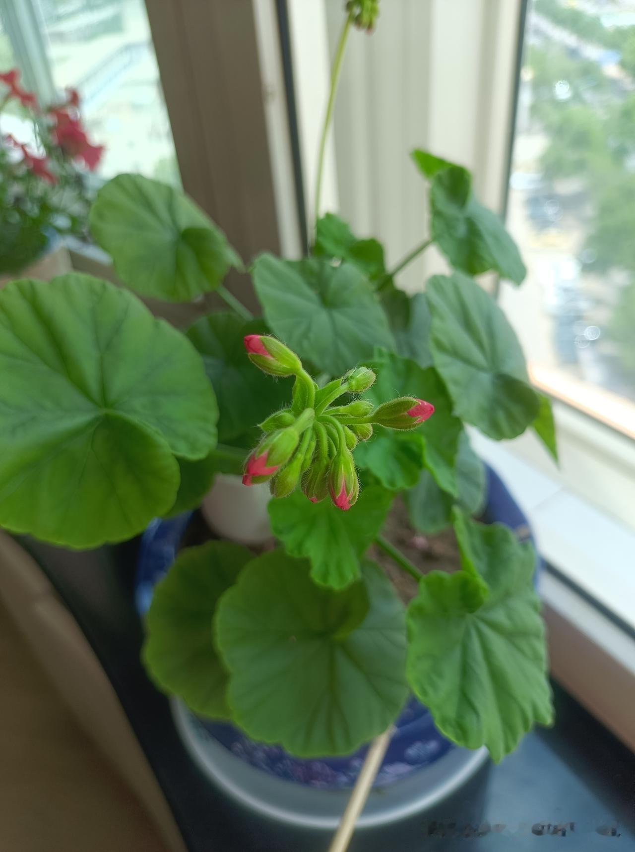 跟十年前相比，肯定是轻松了很多，因为孩子们长大了，结婚了，没有再买房买车花大钱的