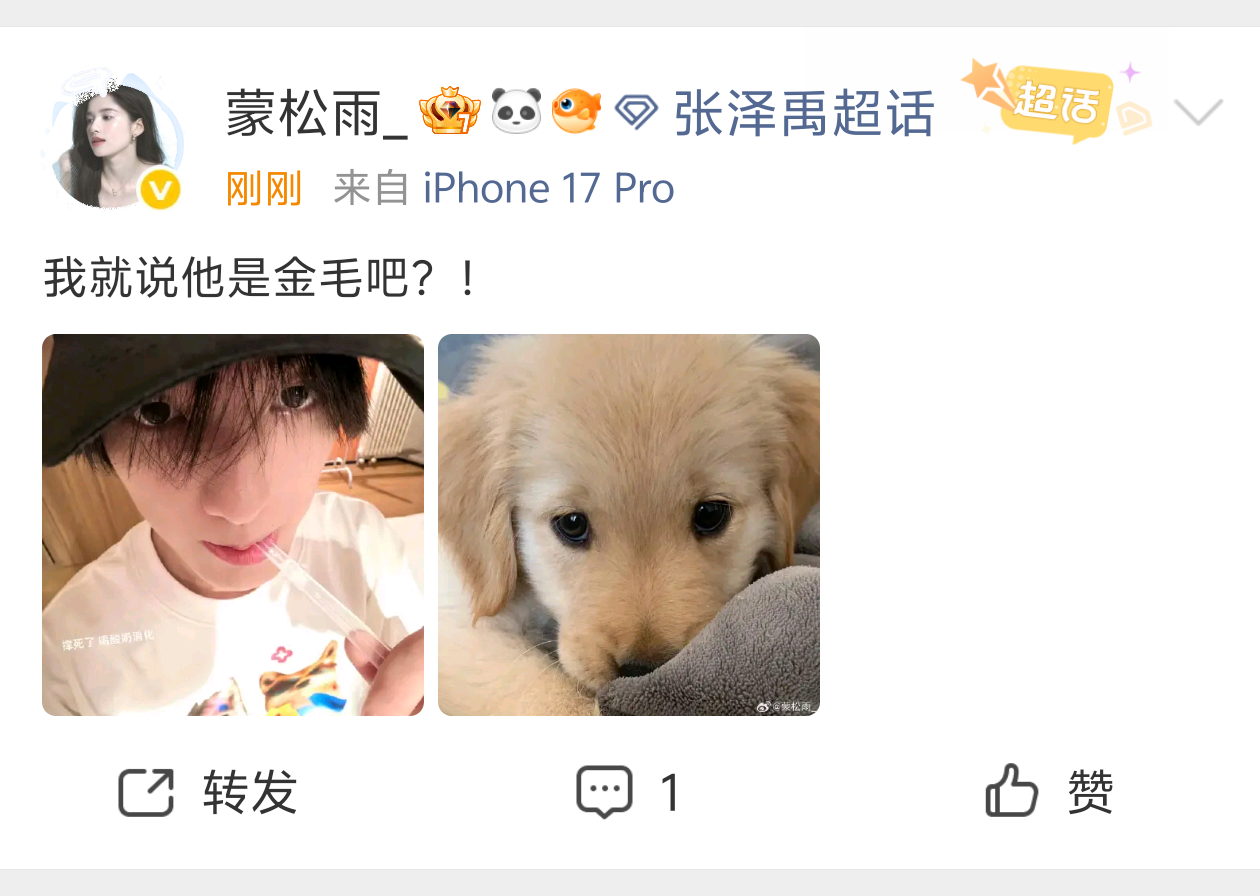 爪禹到底是什么狗 ​​​