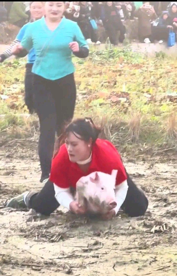 贵州这女子参加抓猪比赛太猛啦！一年能抓22头猪带回家，这抓猪实力简直无敌。想象一