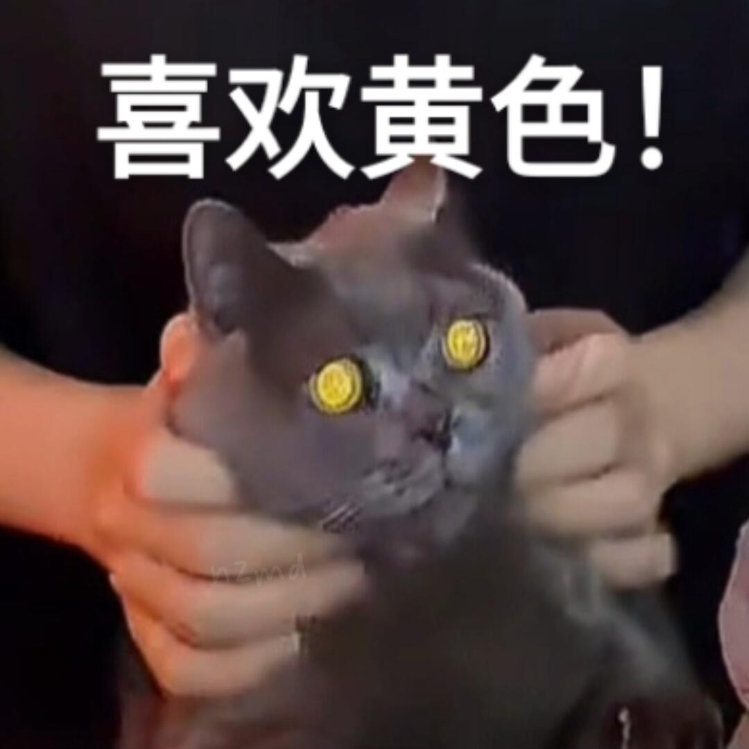 日常感叹伟铮真的很会亲也亲得很好看啊啊啊啊啊啊真的可以亲出小说描写的感觉一点都不