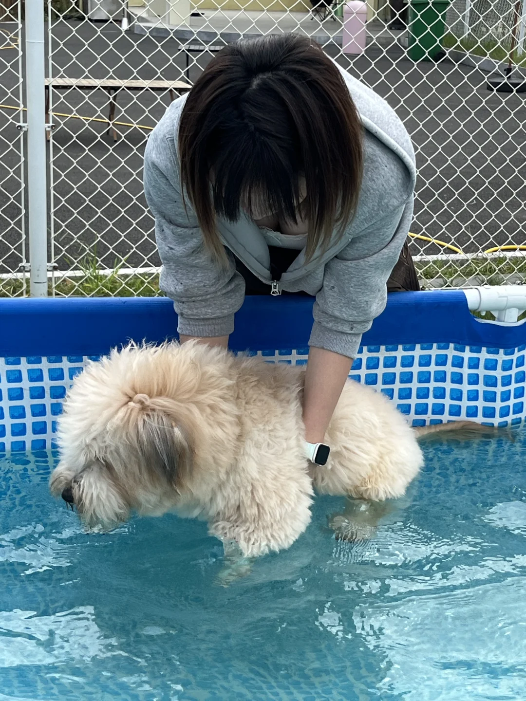 娘 俺确实是个孬种