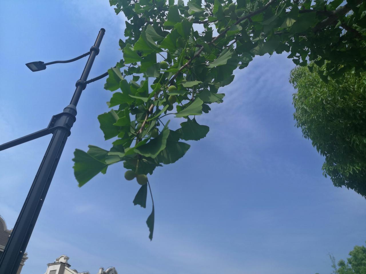 我的世界杯记忆世界杯又开始了勾起了我无限的回忆。想当年外星人罗纳尔多驰骋球场连过