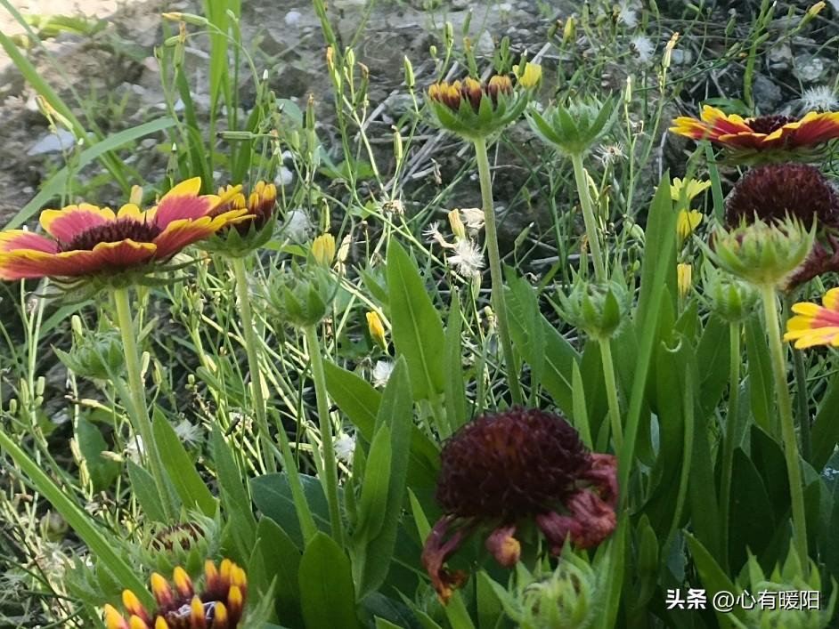 她主动拉黑，多半不是不爱，而是心里积攒了太多委屈与失望。
 
第一种，是赌气试探