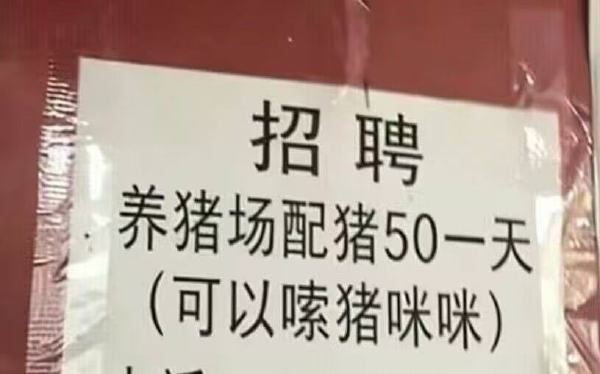 天气预报有雨，但是我想去跑步 