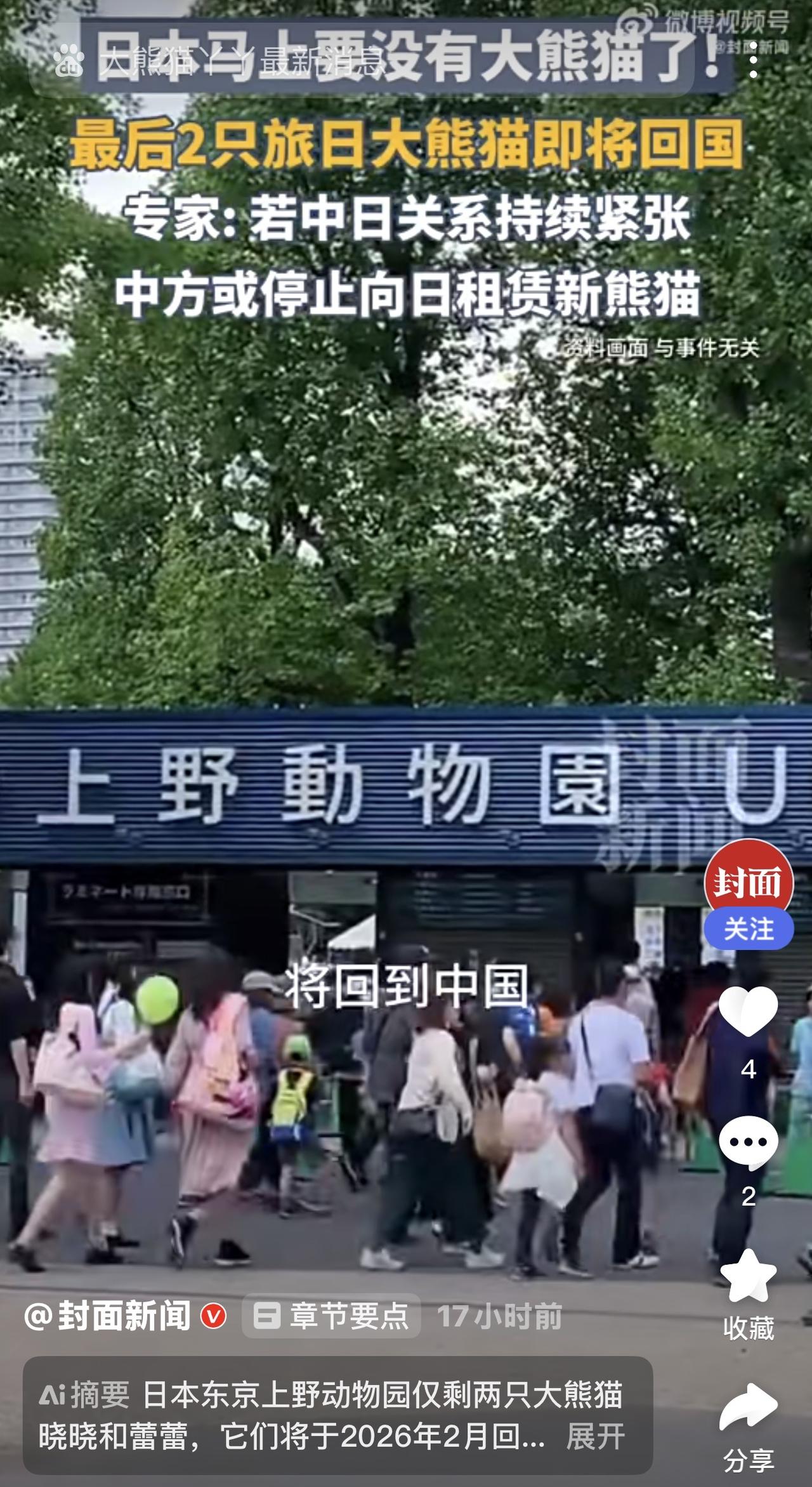 日本“冒险世界”游乐园的四只大熊猫“良浜”及其女儿”结浜”、“彩浜”、“枫浜” 