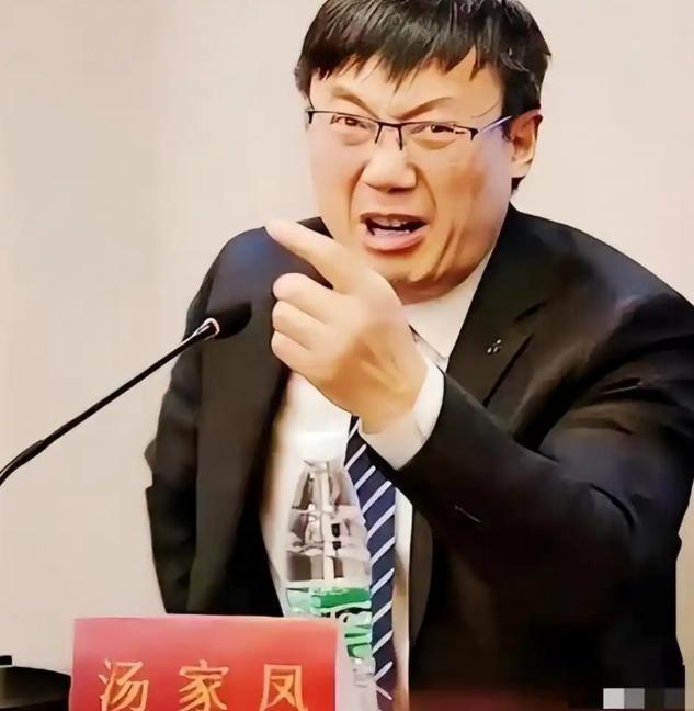 果然不出所料，在汤家凤呼吁取消英语核心地位后，一些人开始给汤家凤扣帽子了！

刷