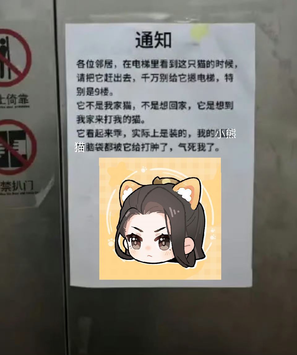p1，原图，p2，我的猫，p3，段宴贴的。 