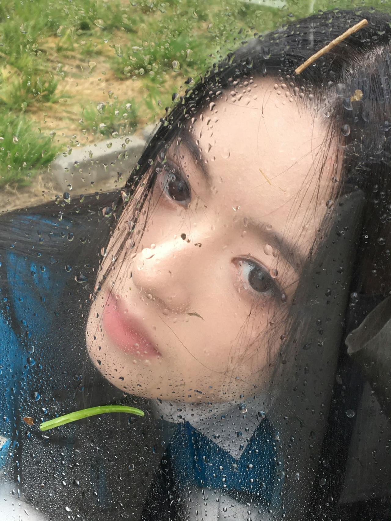 黄杨钿甜