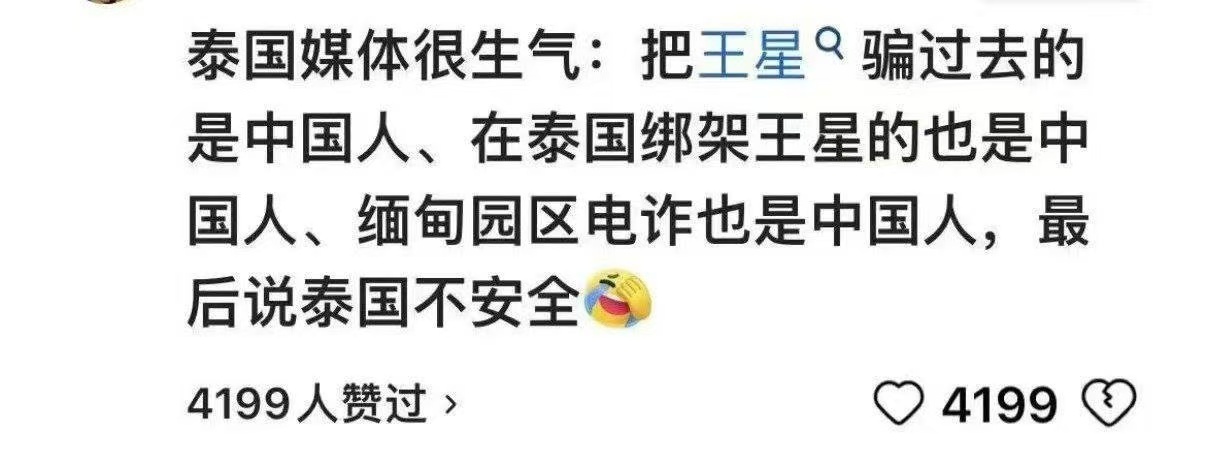 泰国警方称要重塑全球游客的信任 东南亚确实很多是中国人害中国人。除了新加坡之外，