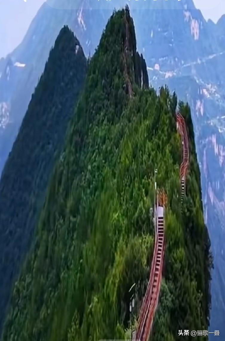 三峡龙脊（巫山文峰山脊）壮阔风光+精准摄影攻略
 
三峡龙脊坐落重庆巫山县文峰景