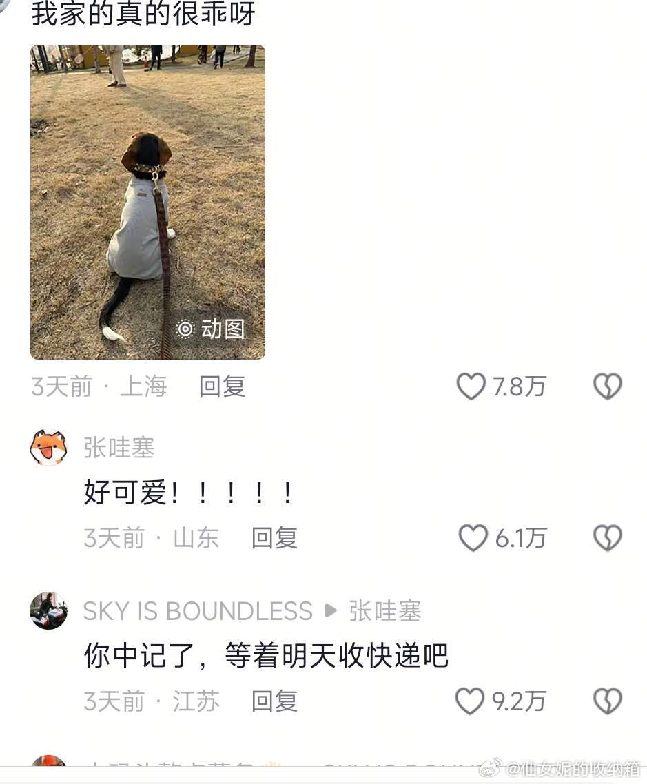 比格犬受害者联盟……哈哈哈哈哈哈哈哈哈哈 ​​​