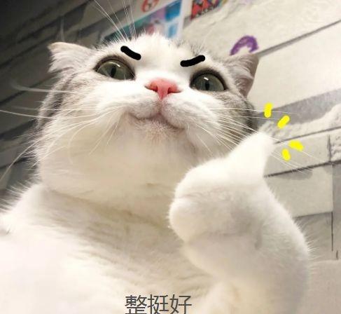 这才是科技该有的温度嘛，给户外工作者提供歇脚地，还整出赛博棋搭子的新花样，东北这