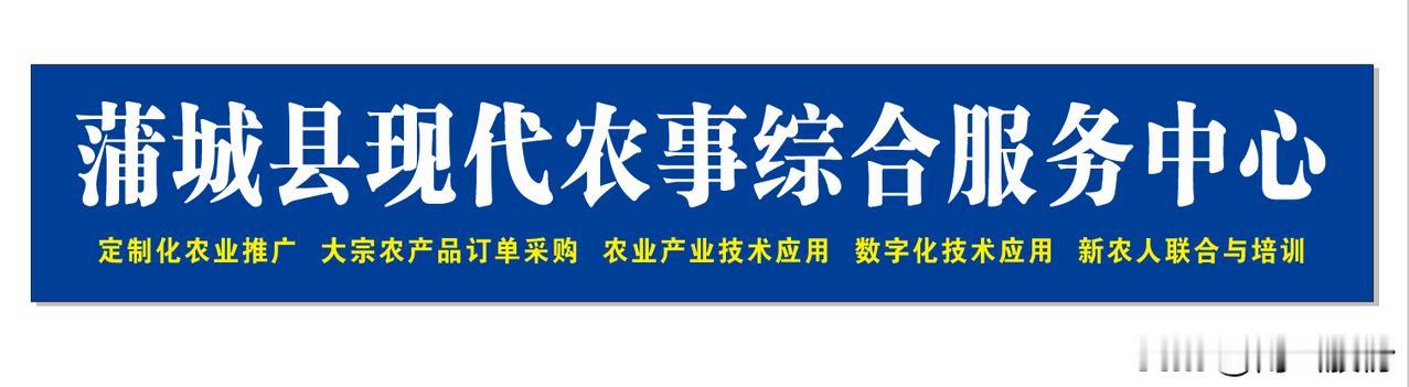 蒲城县现代农事综合服务中心聚焦六大核心业务，全方位服务现代农业：
· 科技服务：