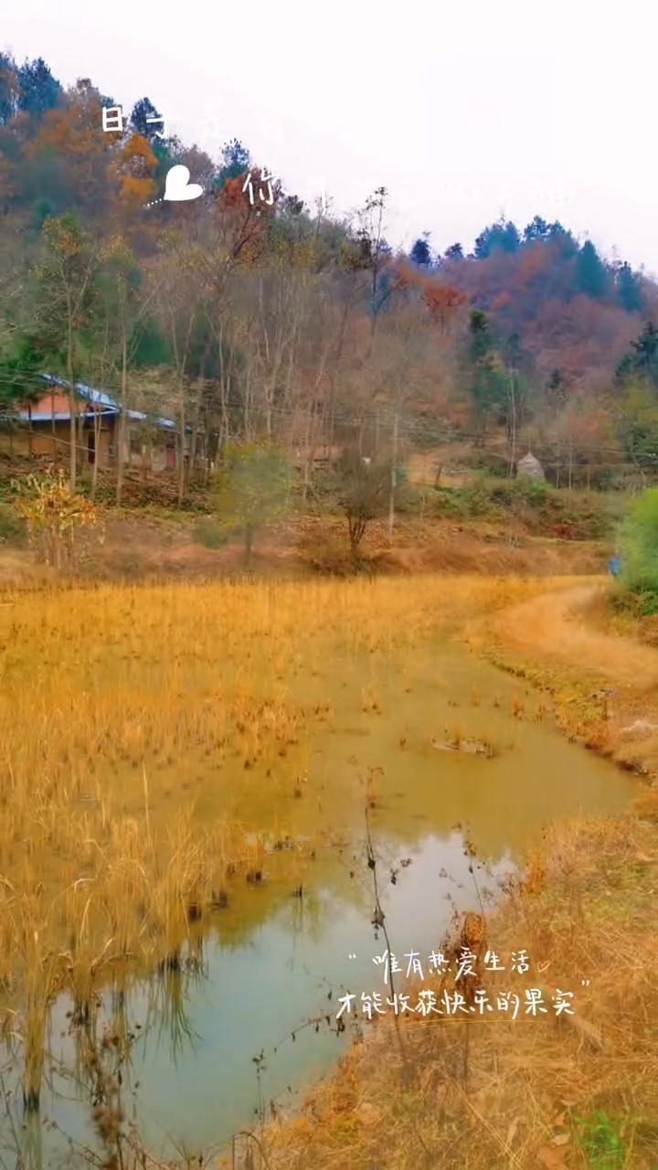 唯有热爱生活的才能收获快乐的果实。日子是自己的，你开心它就幸福。唯有热爱生活的才