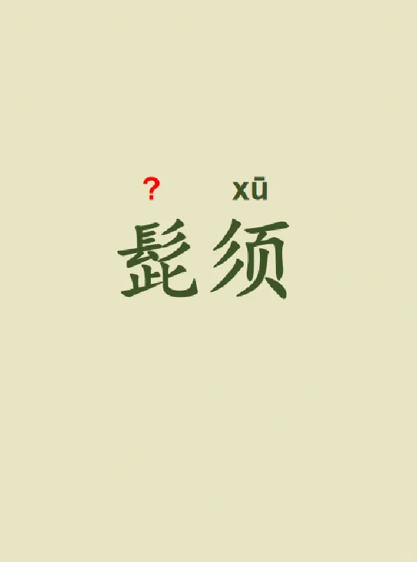 今天来学习——髭须