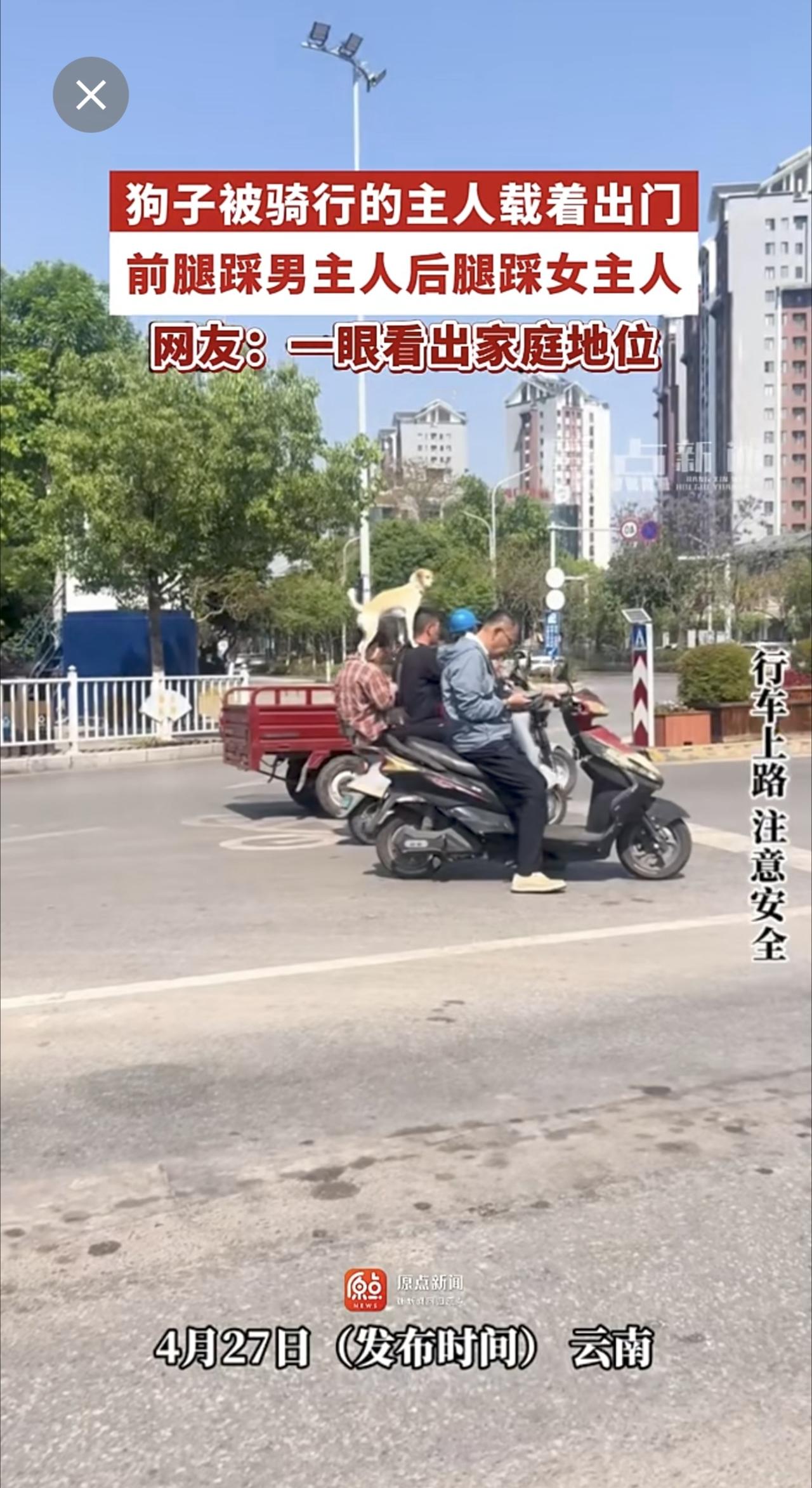 狗子被骑行的主人载着出门，前腿踩男主人后腿踩女主人，网友：一眼看出家庭地位  （