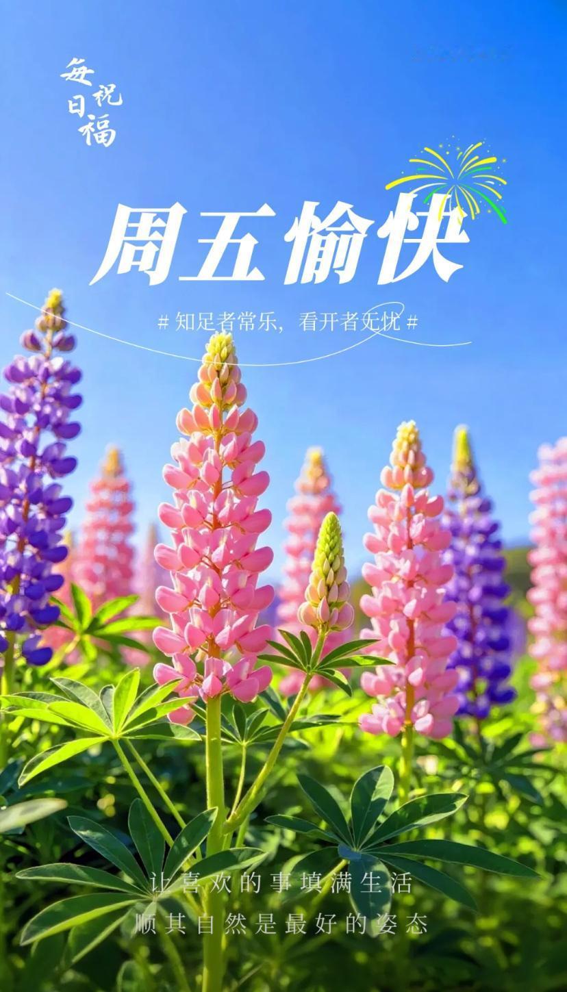 春晨问安，春临万户祥瑞至，福降百家喜乐随。
2026./04.17.
[微风][