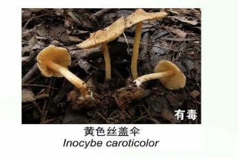 贵州3死2伤！自家屋后