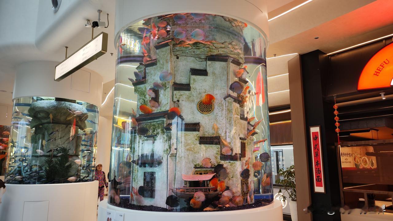 自驾去无锡，本来只想在梅村服务区歇个脚、上个厕所，没想到一进门就挪不动脚。大厅里