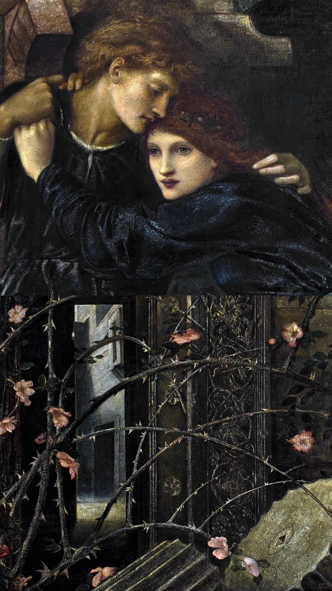 荆棘中的呢喃⋆˙石墙和蔷薇 ✿゙.