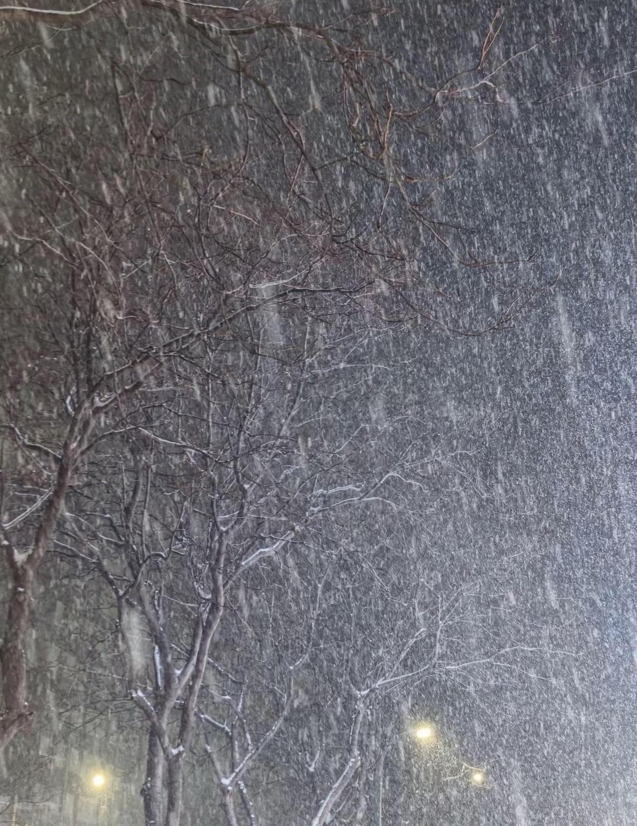 2.16除夕夜西安这么大的雪真的合理吗？？？
怎么大年三十西安的雪这么大啊！谁能