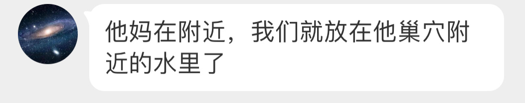 #鸟粉投稿# 好好笑的剧情黑水鸡妈妈带着宝宝出来溜达，幼鸟游累了自己上岸边了，然