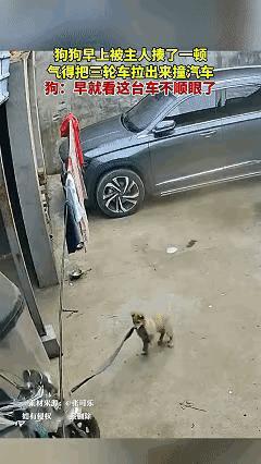 笑不活了！云南一男子中午回家，竟撞见家里三轮车和轿车撞在一起，家里没人住还以为进