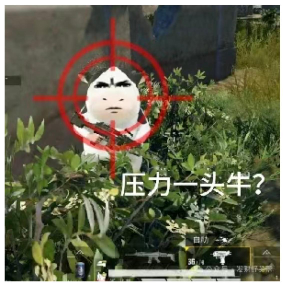 文化传播这一块 