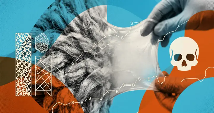 被扔掉的废羊毛，正在被科学家用来修复人体骨骼