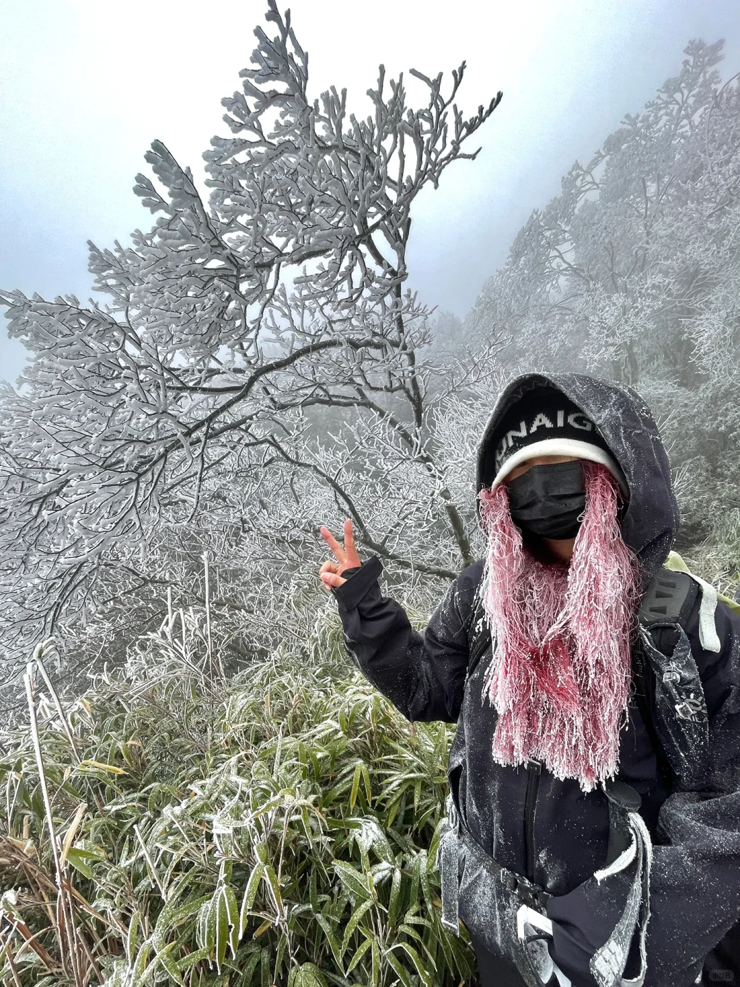 去了10次千万不要去武功山看雪⁉️徒步全攻略