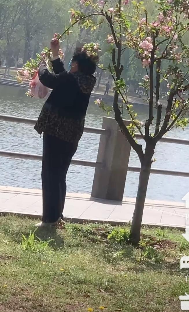 花开迎春，给城市增添了几抹靓丽的风景，也给过往的牛马一丝好心情。
偏偏就有人爱辣