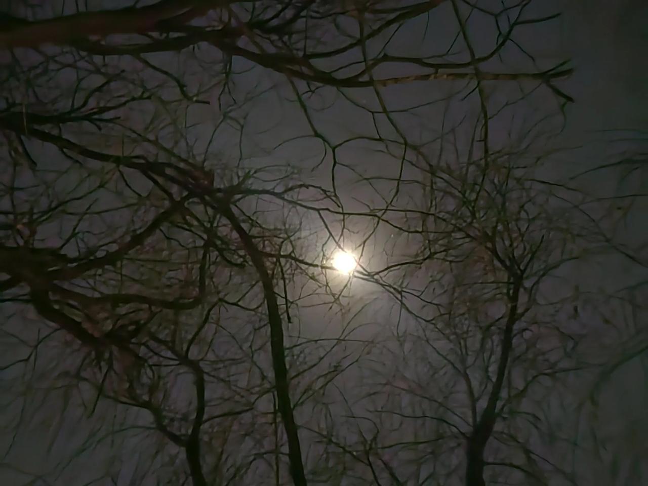 󠇌 󠇌 󠇌 󠇌  半个月亮又悄悄地爬上树梢，冷清的冬夜，没人举杯弄影，也
