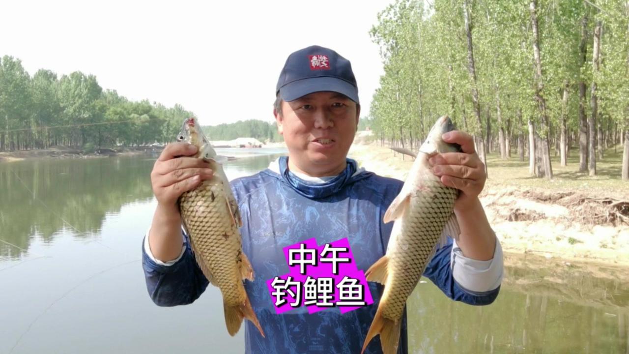 🌞春天的中午以后才是钓鲤鱼的黄金时间段。

1️⃣选钓位：
春天中午以后钓鲤鱼