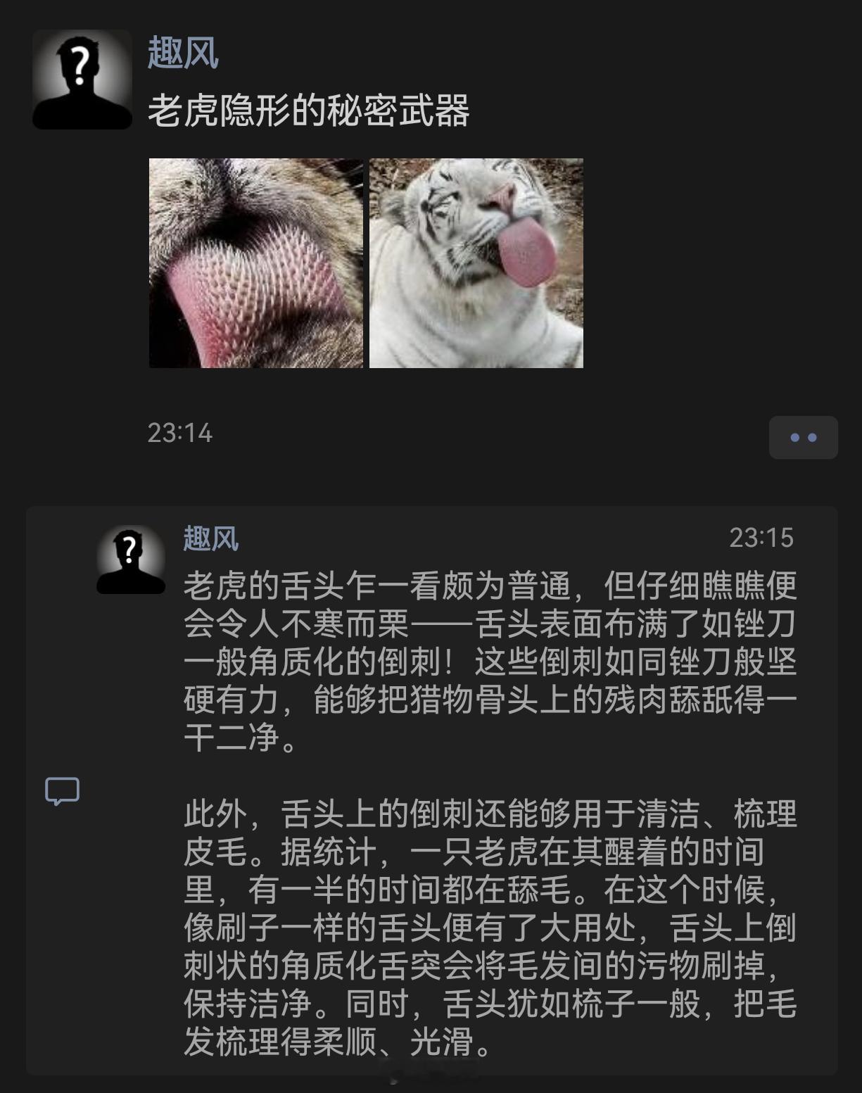 老虎舌头的秘密：看似普通，实则惊人 