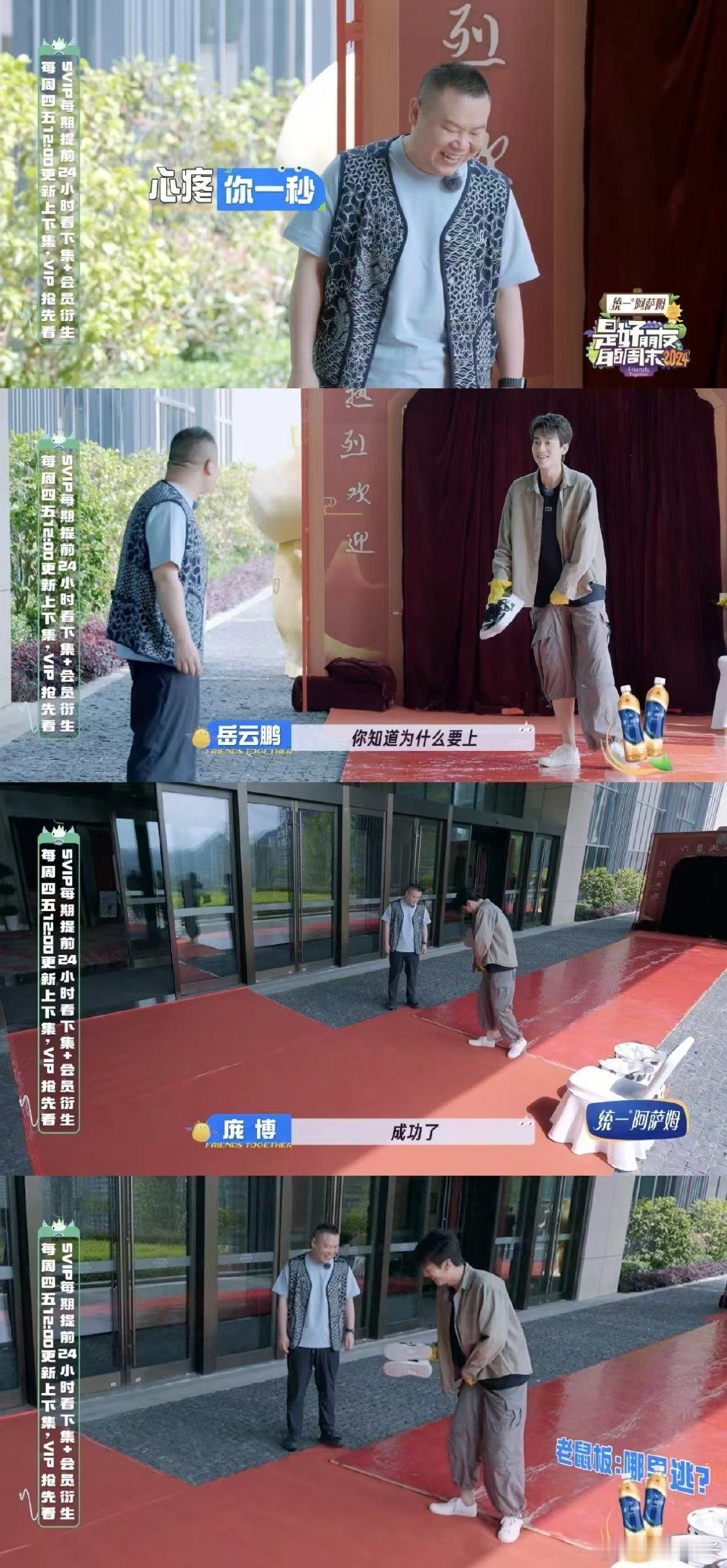 #第一次见红毯走粘鼠板的# 这场别出心裁的红毯之旅，粘鼠板成了主角。庞博艰难跋涉