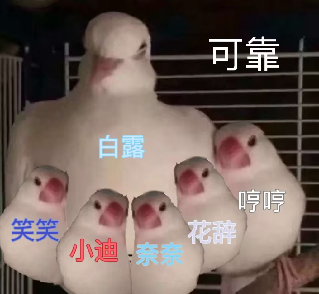 恭喜mrc今天赢下比赛能跟强敌对抗出这么精彩的比赛真是太好了🧱这条抽一个25r