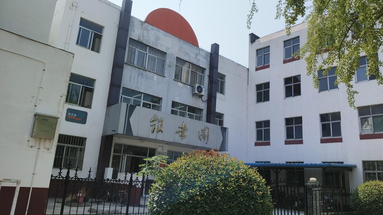 银杏林：聊城大学秋日限定的金色梦境

虽然现在还是夏天，但聊大的银杏林已经为秋天