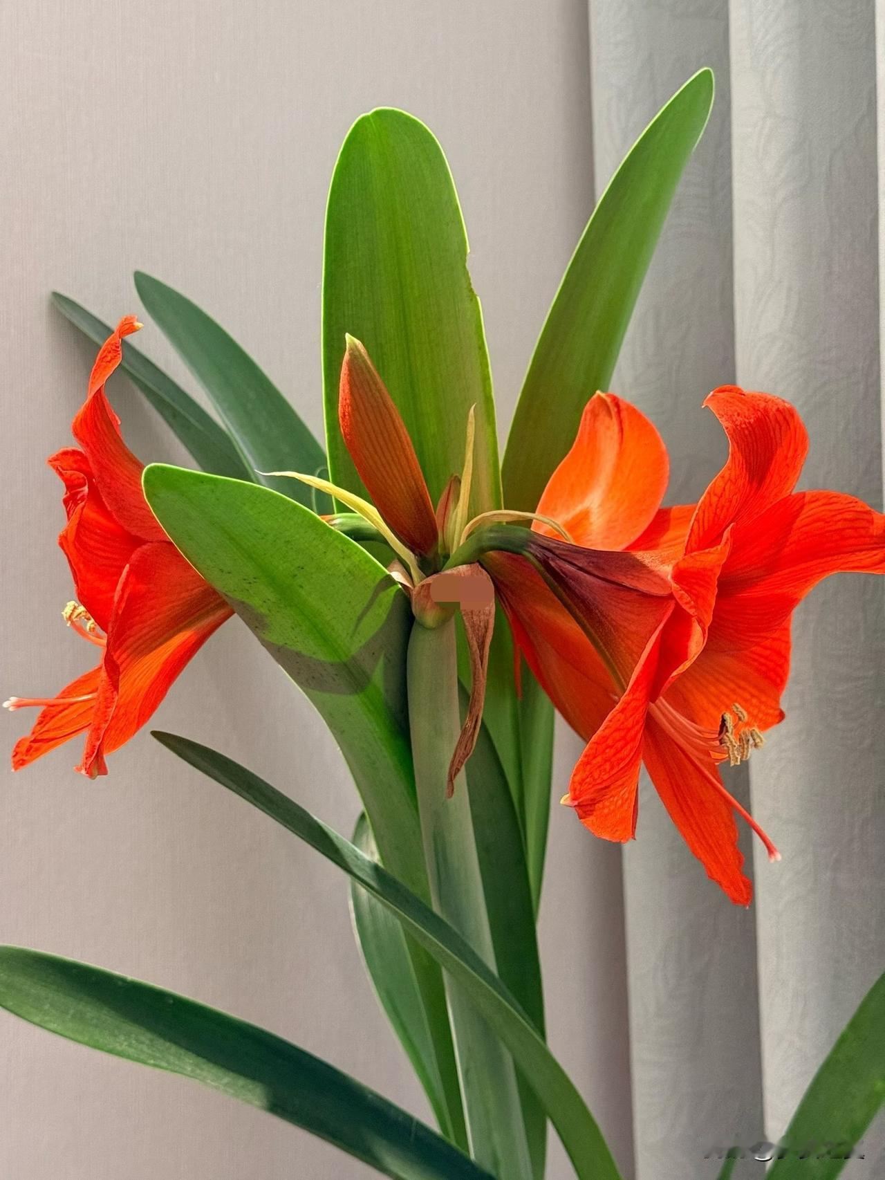 【小对联】
上：……？
下：消魂。