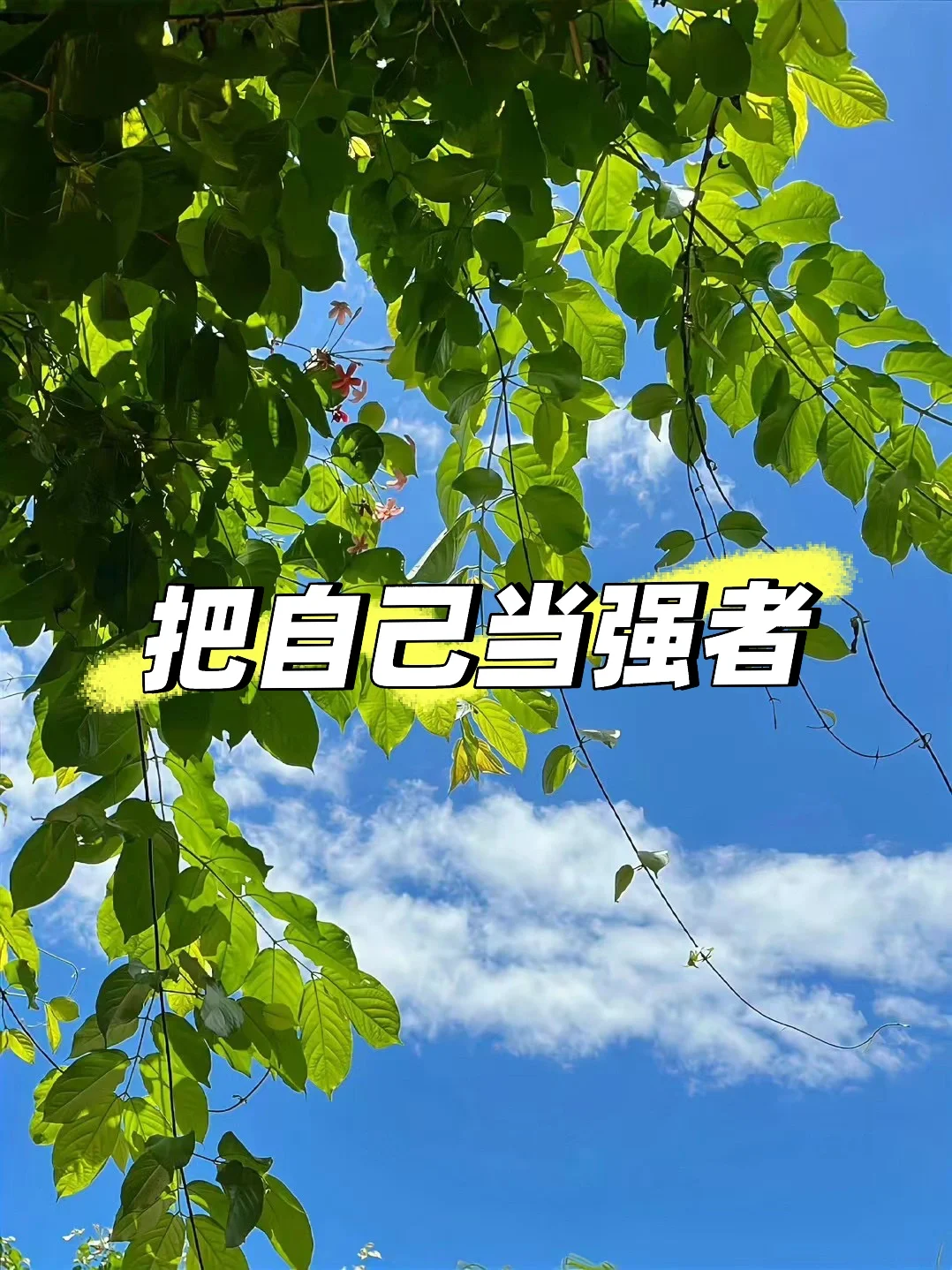 你觉得自己是强者的时候，你的人生才开始