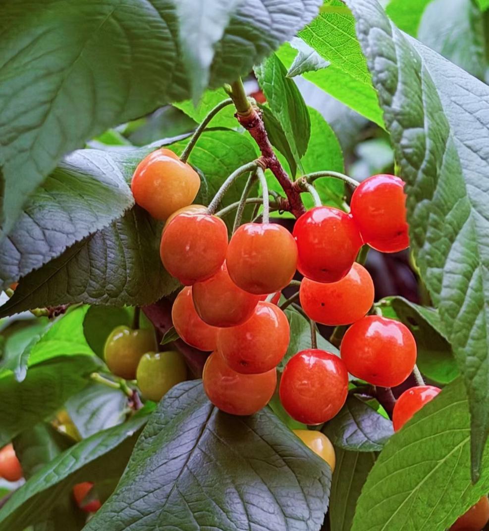 2026年赚钱越来越难，普通人一定要守住这5条生存忠告

老话讲：手里有余钱，遇