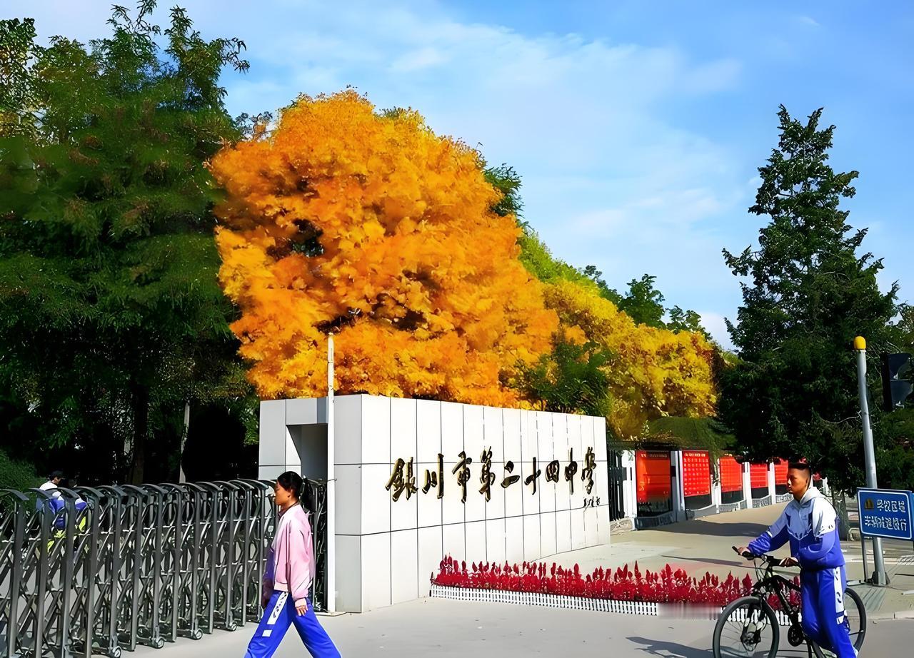 学校对学生发型的规定和要求无可厚非。坚决支持银川有关学校对学生发型的有关规定和要