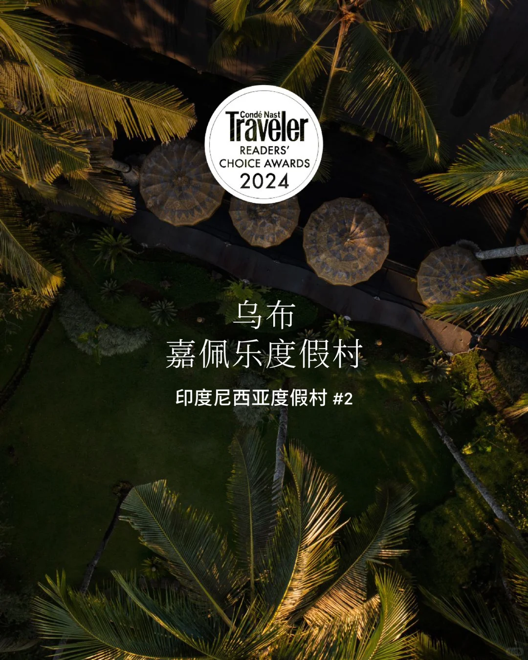 柏典绮旅 嘉星璀璨