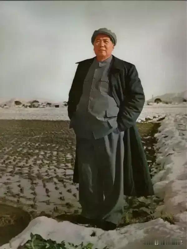 《问》
一九五八年，65岁。

天长地久有没有，
雪问梅花风问柳，
杨柳不言花不