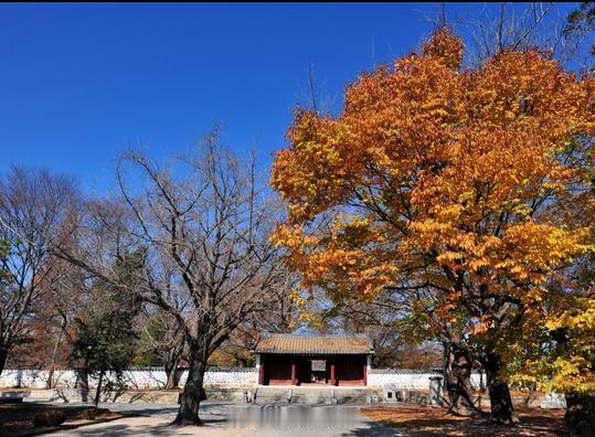 【朝鲜高丽成均馆】位于朝鲜的开城地区。高丽博物馆最初为11世纪初叶高丽国的行宫—