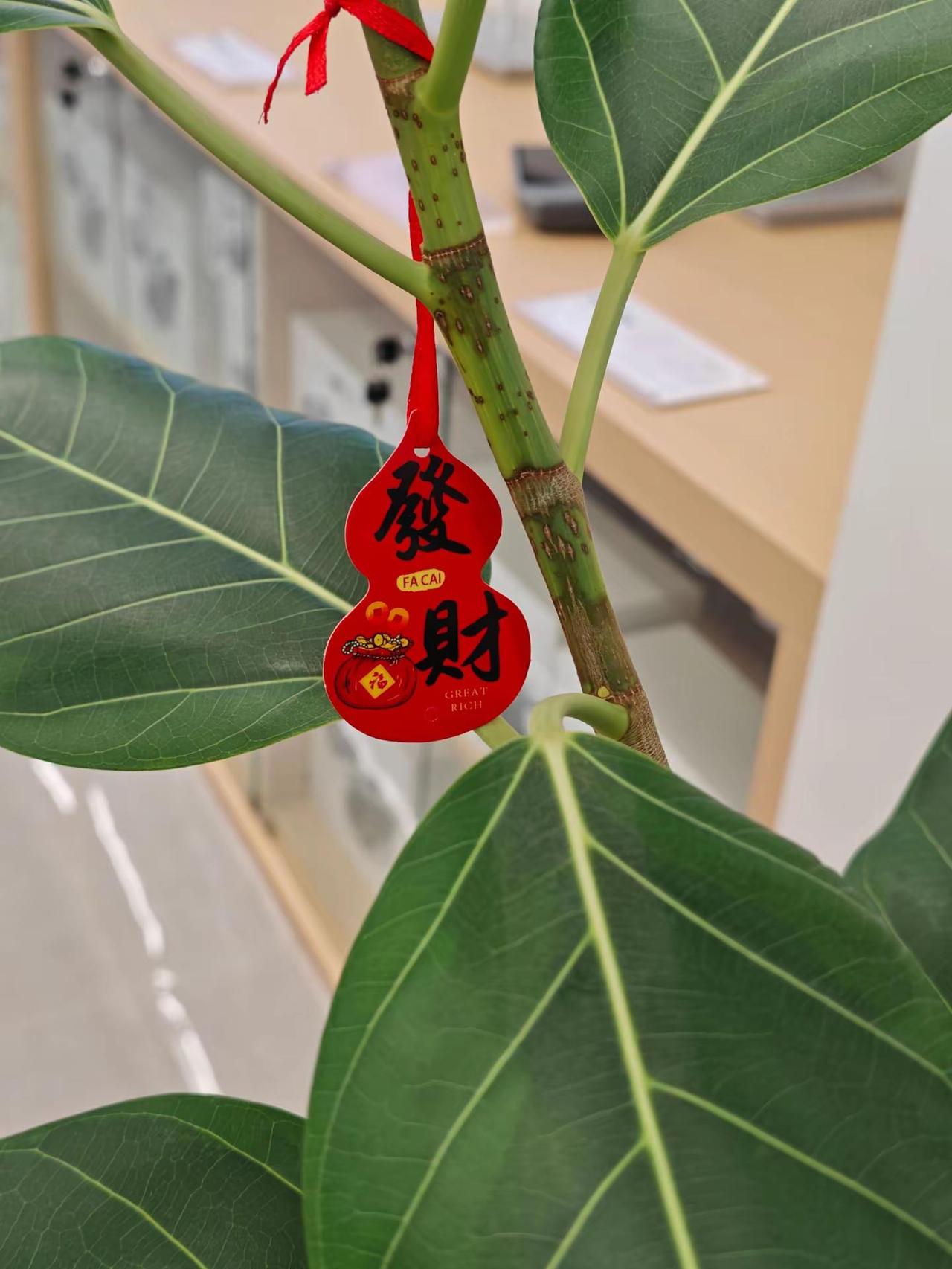 人一生的情缘就像露水挂在枝头，太轻是错过，太重是手足无措