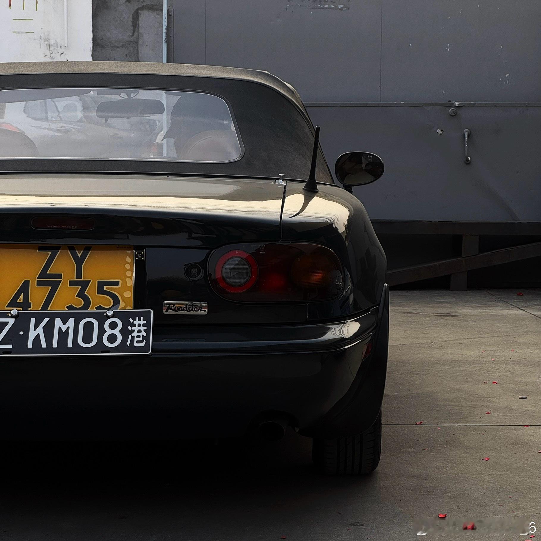 🚶🏻♂️ 广州·大夫山森林公园